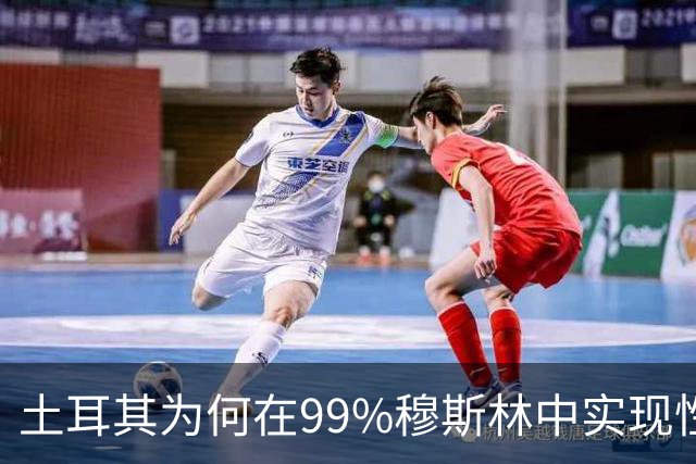 土耳其为何在99%穆斯林中实现性交易合法化？